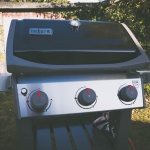 Der Grill Weber Spirit II E-310 GBS